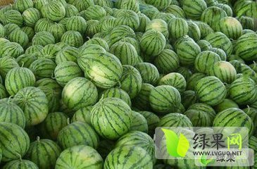 2015年河南太康龙卷风价格