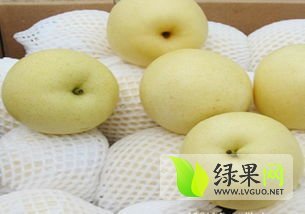 2015年安徽砀山皇冠梨价格