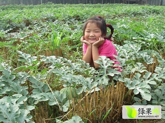 2016年河南尉氏龙卷风价格