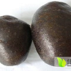 大兴土豆名扬天下,金辅杨桃诚信合作