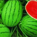 公主岭怀德王立成7月京欣西瓜