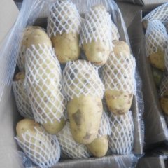 大量供应库存土豆