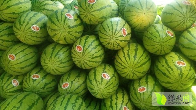 硒砂瓜价格