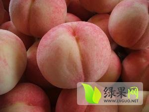 陕西大荔秦王桃蜜桃欢迎合作