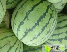 通许西瓜口感爽口 花无子 龙卷风