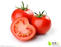 吉林省四平硬粉西红柿著名品种