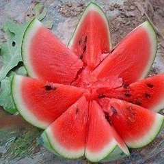 陕西澄城京欣西瓜降价了质量上乘