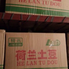 2015安丘土豆俏销大江南北