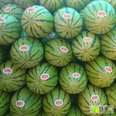 会宁郭城硒砂瓜西瓜