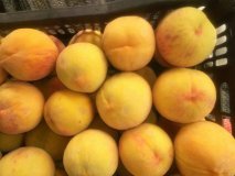 河北新乐黄桃蜜桃产销两旺