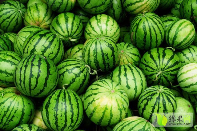 2015年山东东明龙卷风价格