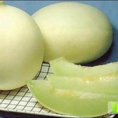 河北西瓜中的白富美-三白西瓜体大多汁