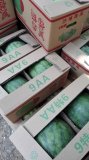 开封强旺台新一号西瓜代办麻全亮