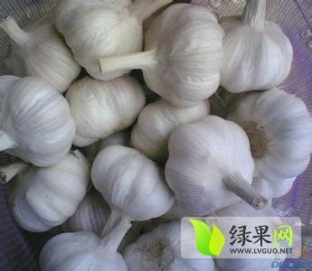 2015年山东鱼台金乡大蒜价格