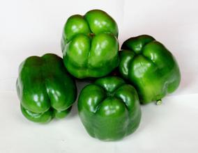 惠民清河陆地圆椒价格稳定