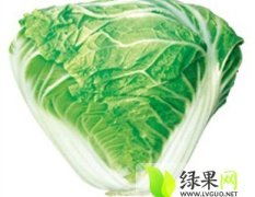 2015供应 鼎优农业白菜种子-- 新秦白二号