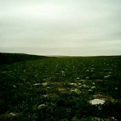 甘肃会宁硒砂瓜西瓜火热上市