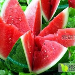 黑龙江红旗西瓜脆沙多汁