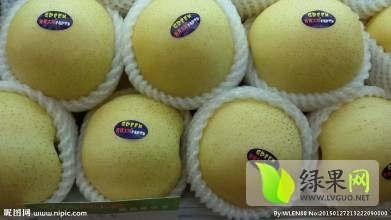 陕西皇冠梨种植基地