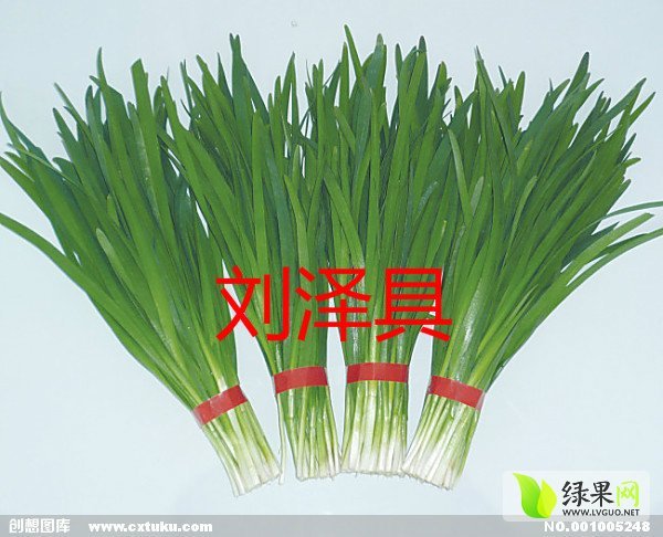 2015年山东莘县韭菜花(青农)价格