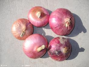 2015惠民洋葱俏销大江南北