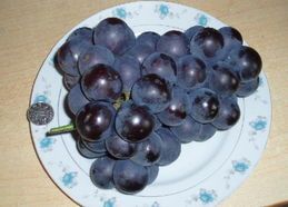 河北永年夏黑葡萄著名品种