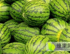 尉氏十八高小现7月花皮无籽西瓜