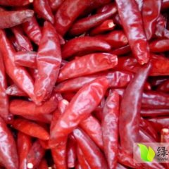 金乡三樱干辣椒大量上市