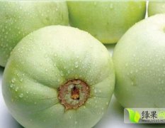 广西香瓜是名优特产
