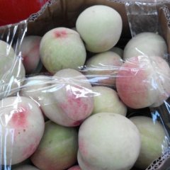 贵港市专业代销各种油桃.黄桃