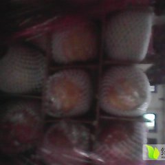 2015临猗苹果俏销大江南北