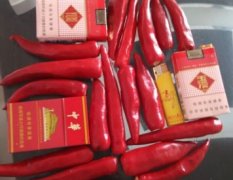 山东济宁大量供应红金塔，辣椒酱～红久久辣椒合作社
