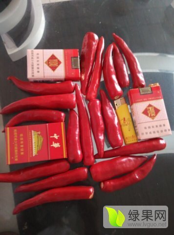 2015年山东金乡线椒价格