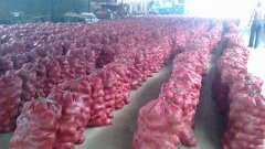本地库存红皮洋葱开始销售，欢迎各地客商前采