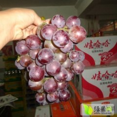 2015东昌府葡萄值得出手