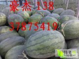 2015年河南通许龙卷风价格