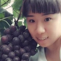 山东金乡维多利亚葡萄随行就市