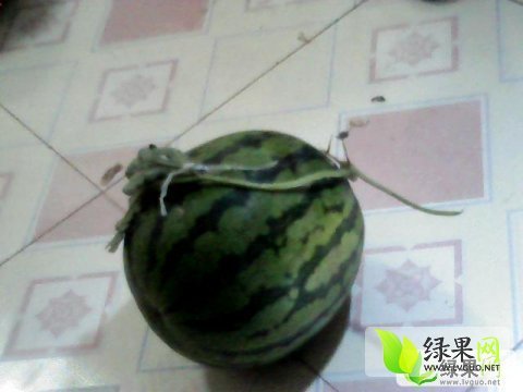 2015年山东单县龙卷风价格