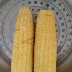 山东禹城粘玉米其他蔬菜上货量大