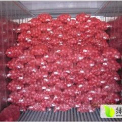 惠民5-8公分小元葱急出售