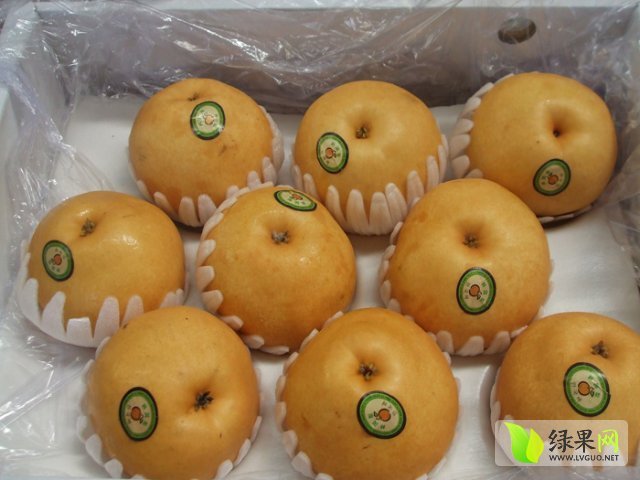 2015年山东冠县圆黄梨价格