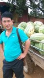 钟祥西瓜上货量大代办人小温诚信合作