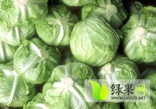 喀喇沁旗王爷府中甘21甘蓝发往全国