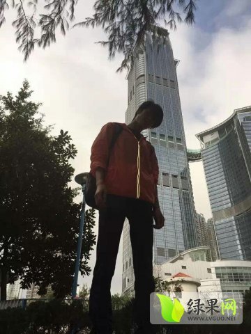 丰抗价格