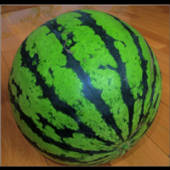 凌海西瓜是名优特产新庄子李辉诚信合作