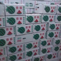 甘肃凉州京欣吊瓜营养丰富