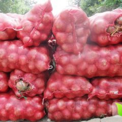 惠民李庄红皮洋葱库存量大