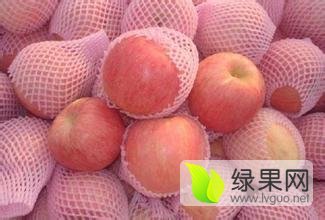 2015年山东寒亭嘎啦价格