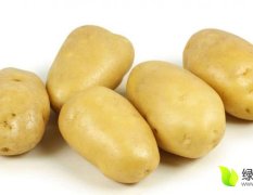 承德围场土豆全程代办、更有优质土豆出售