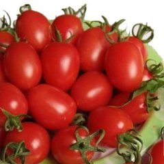莘县燕店圆粉西红柿营养价值极高